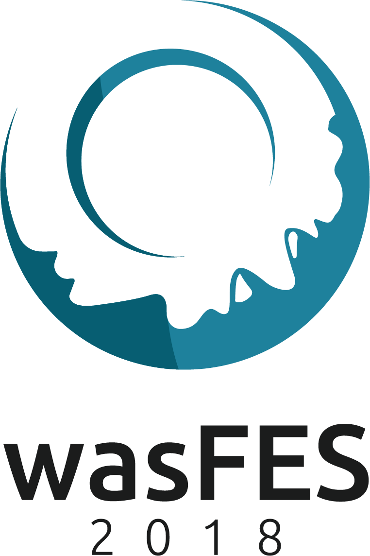 wasFES2018